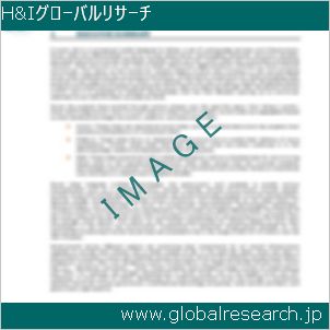 グローバルリサーチ調査レポートのイメージ
